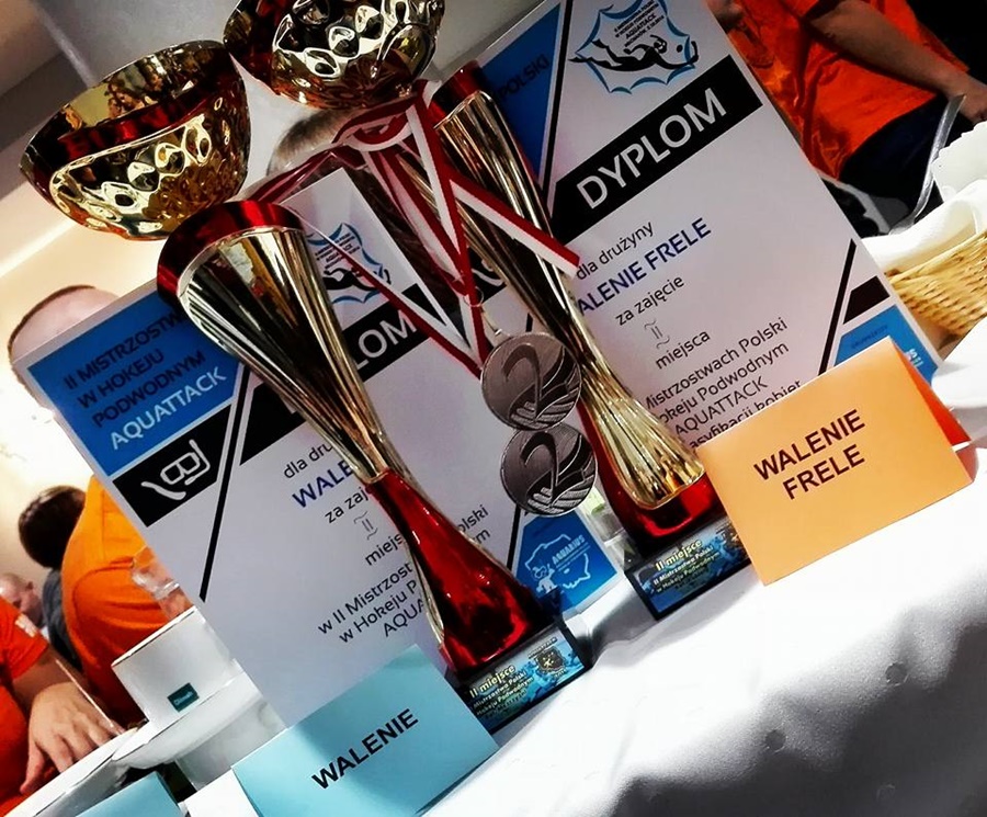 Hokej pod wodą Walenie Bełchatów  2015